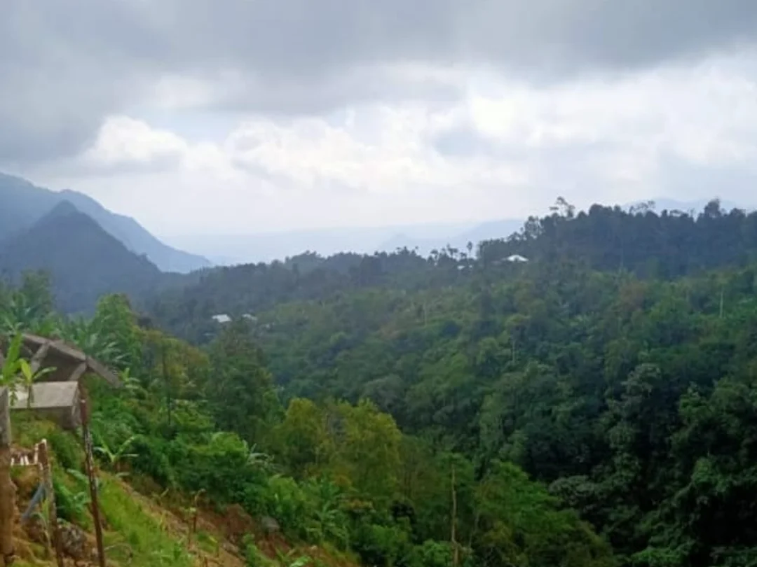 Strategic 651.20 Are Land for Sale Near Turyapada Tower, North Bali