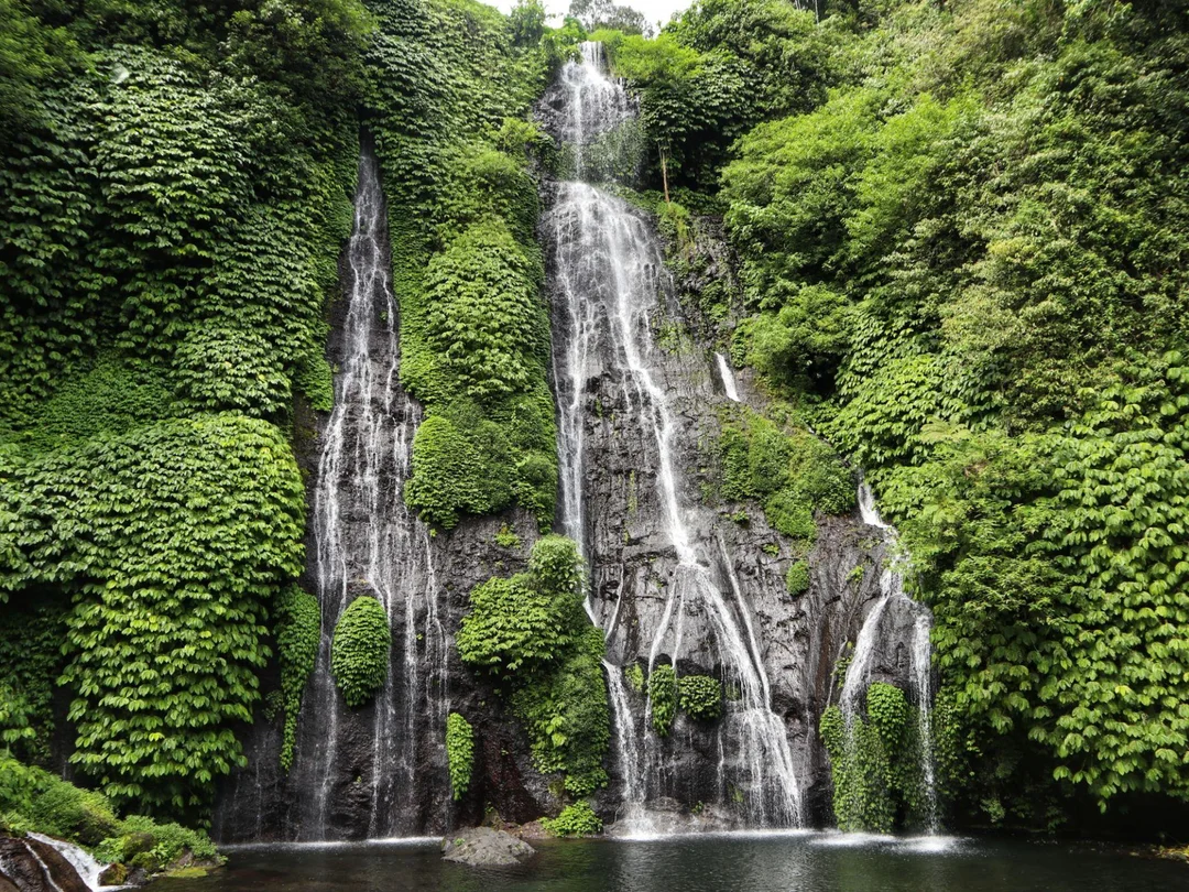 Explore Munduk – Full Day Nature Adventure