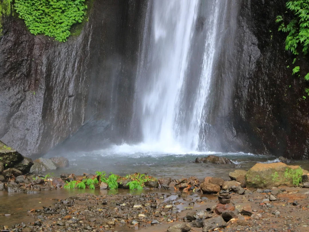 Explore Munduk – Full Day Nature Adventure 4