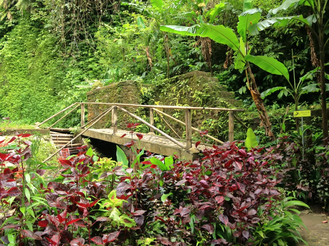 Explore Munduk – Full Day Nature Adventure - Sanur - Photo 6