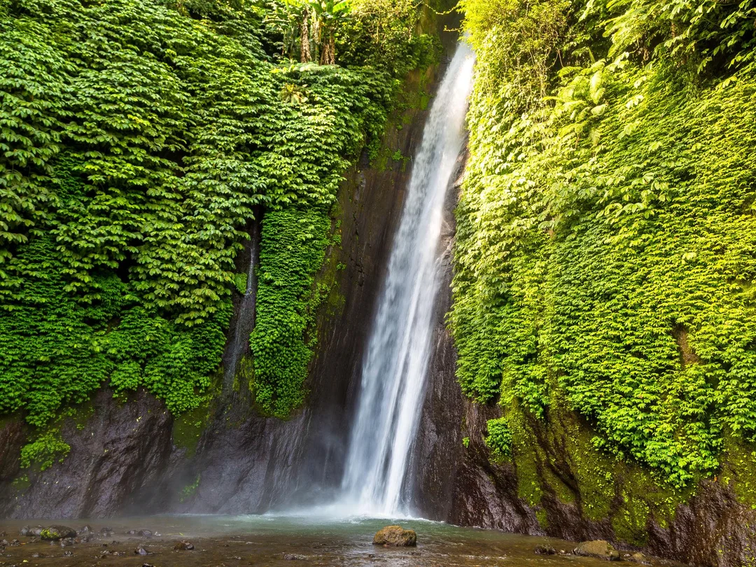Explore Munduk – Full Day Nature Adventure - Sanur - Photo 8