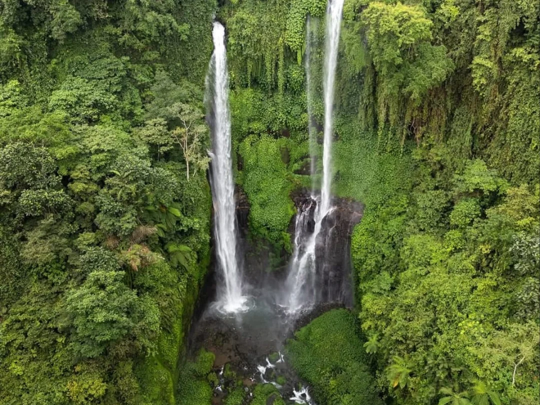 Bali: Mount Batur Sunrise Trekking & Sekumpul Waterfalls Adventure 3