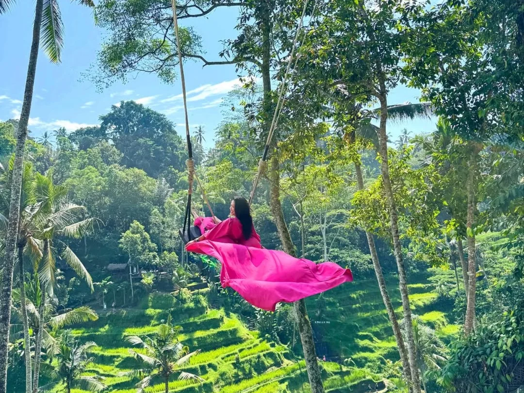 Bali: Ubud Rice Terraces, Sari Timbul & Taman Dedari Tour 2