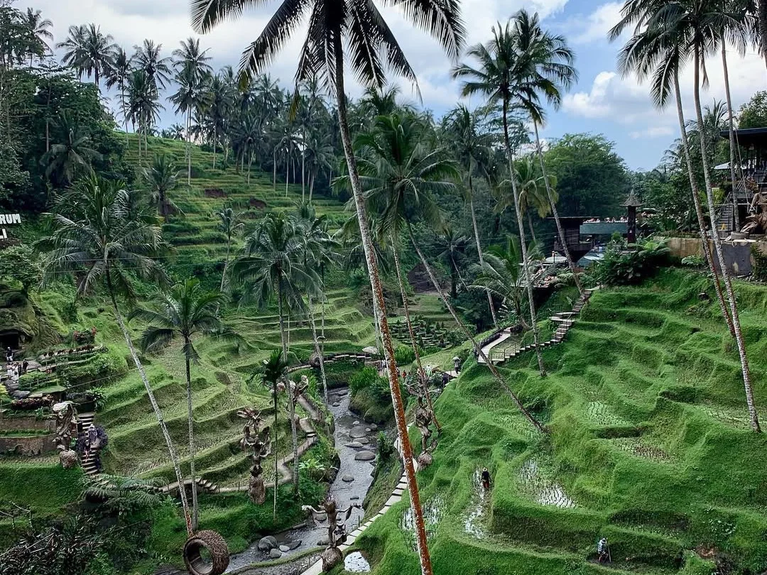 Bali: Ubud Rice Terraces, Sari Timbul & Taman Dedari Tour 3