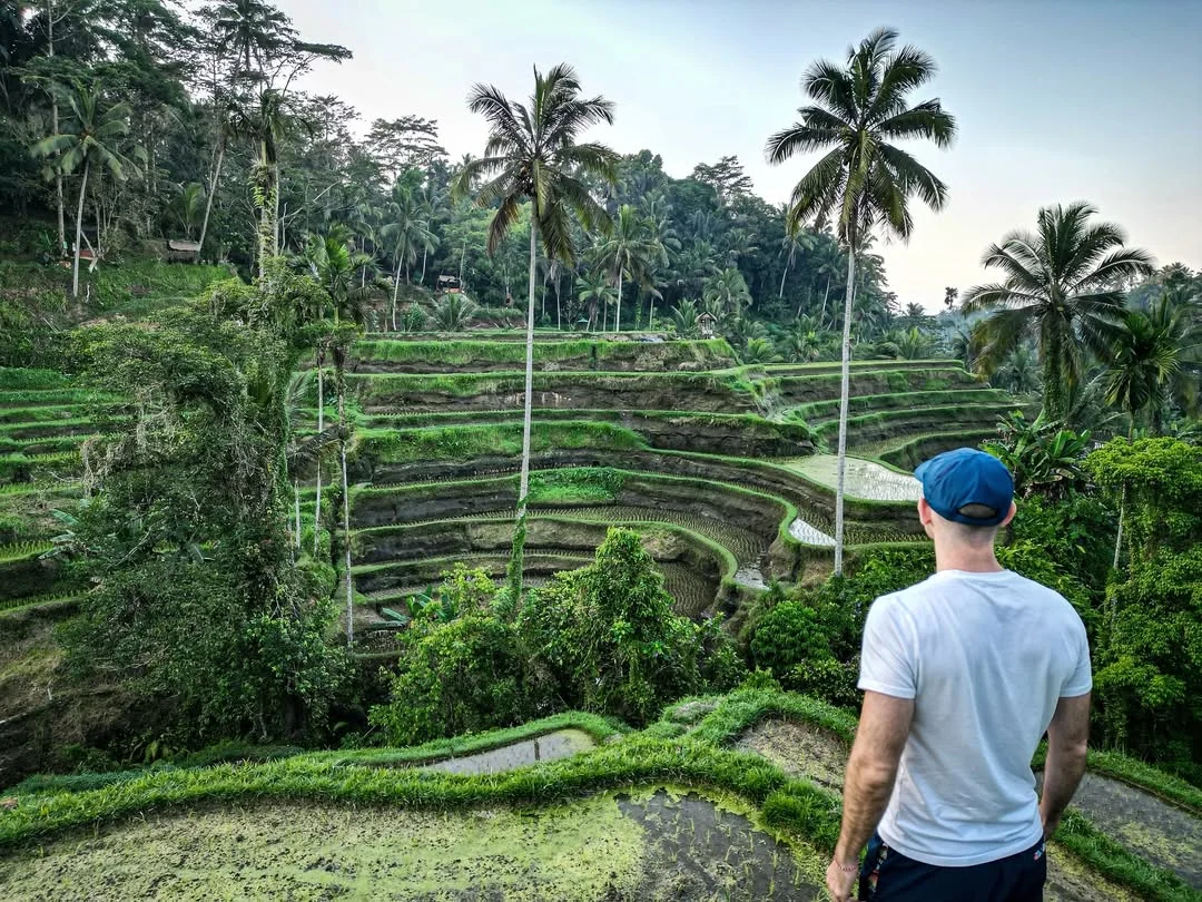 Best of Ubud Tour: Monkey Forest, Rice Terrace & Waterfall | Bali 2