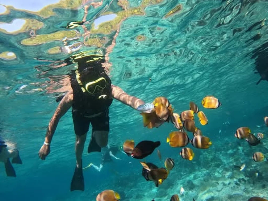 Bali: Blue Lagoon & Tanjung Jepun Snorkeling Adventure
