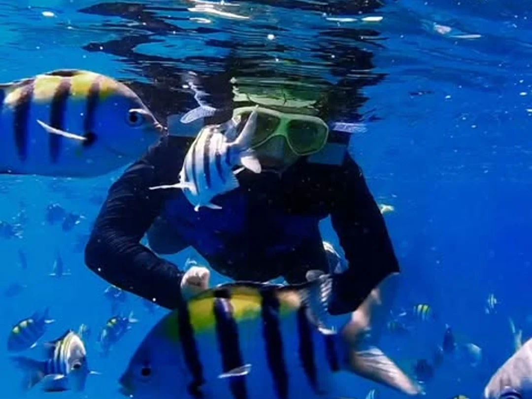 Bali: Blue Lagoon & Tanjung Jepun Snorkeling Adventure 2