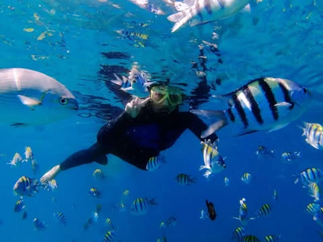 Bali: Blue Lagoon & Tanjung Jepun Snorkeling Adventure 3