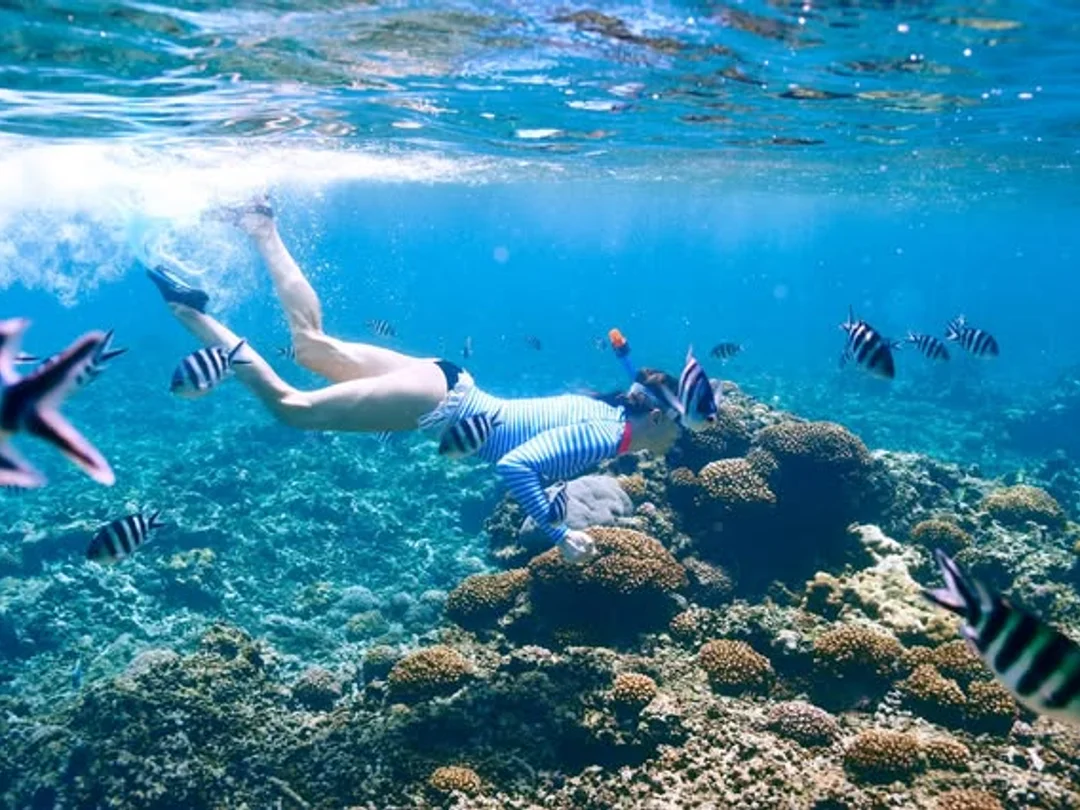 Bali: Blue Lagoon & Tanjung Jepun Snorkeling Adventure 4