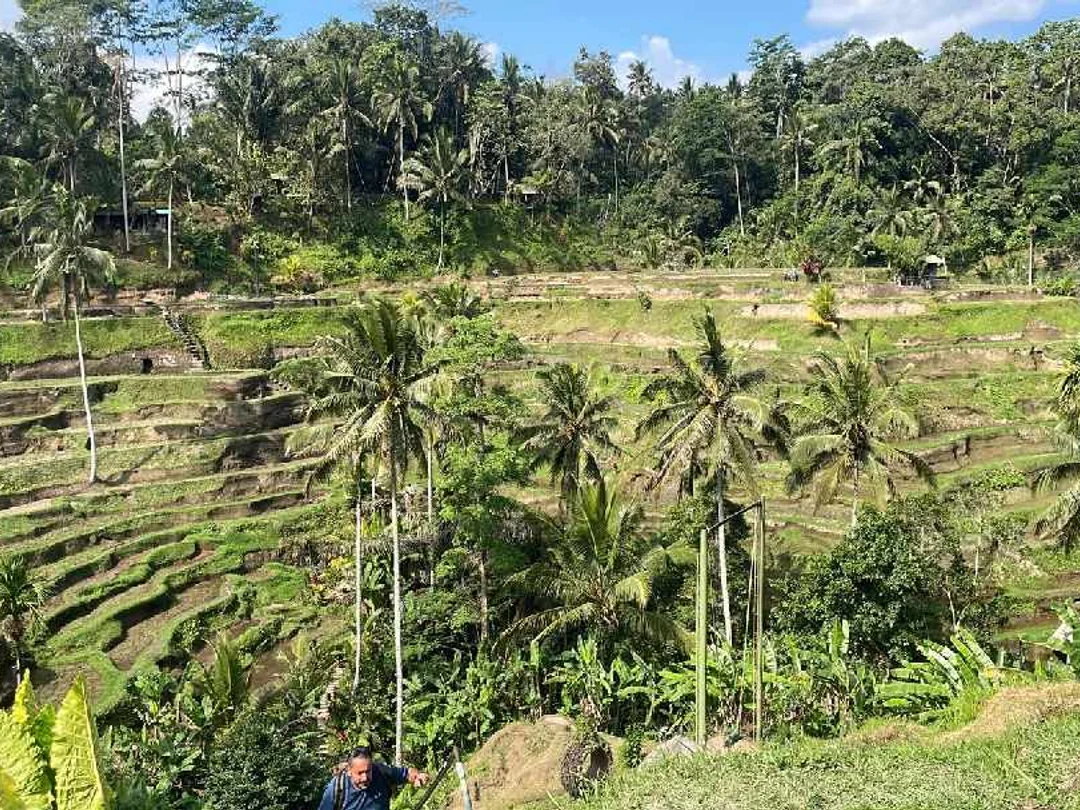 Bagus bali tour travel 4